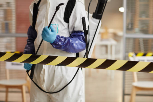 Professional Sewage Cleanup technician working in Hillsdale, MI